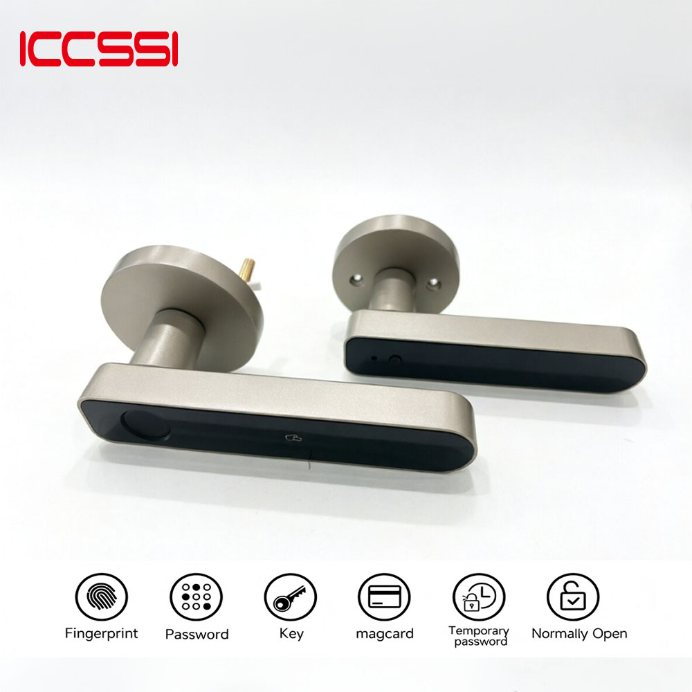 ICCSSI Tuya Electronic Digital - огляд і ціна Letter Opener Brass