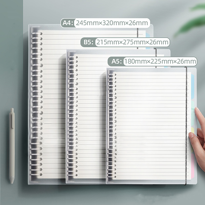 A5/B5/A4 Binder Notebooks Loos - огляд і ціна Binder A4 Lever